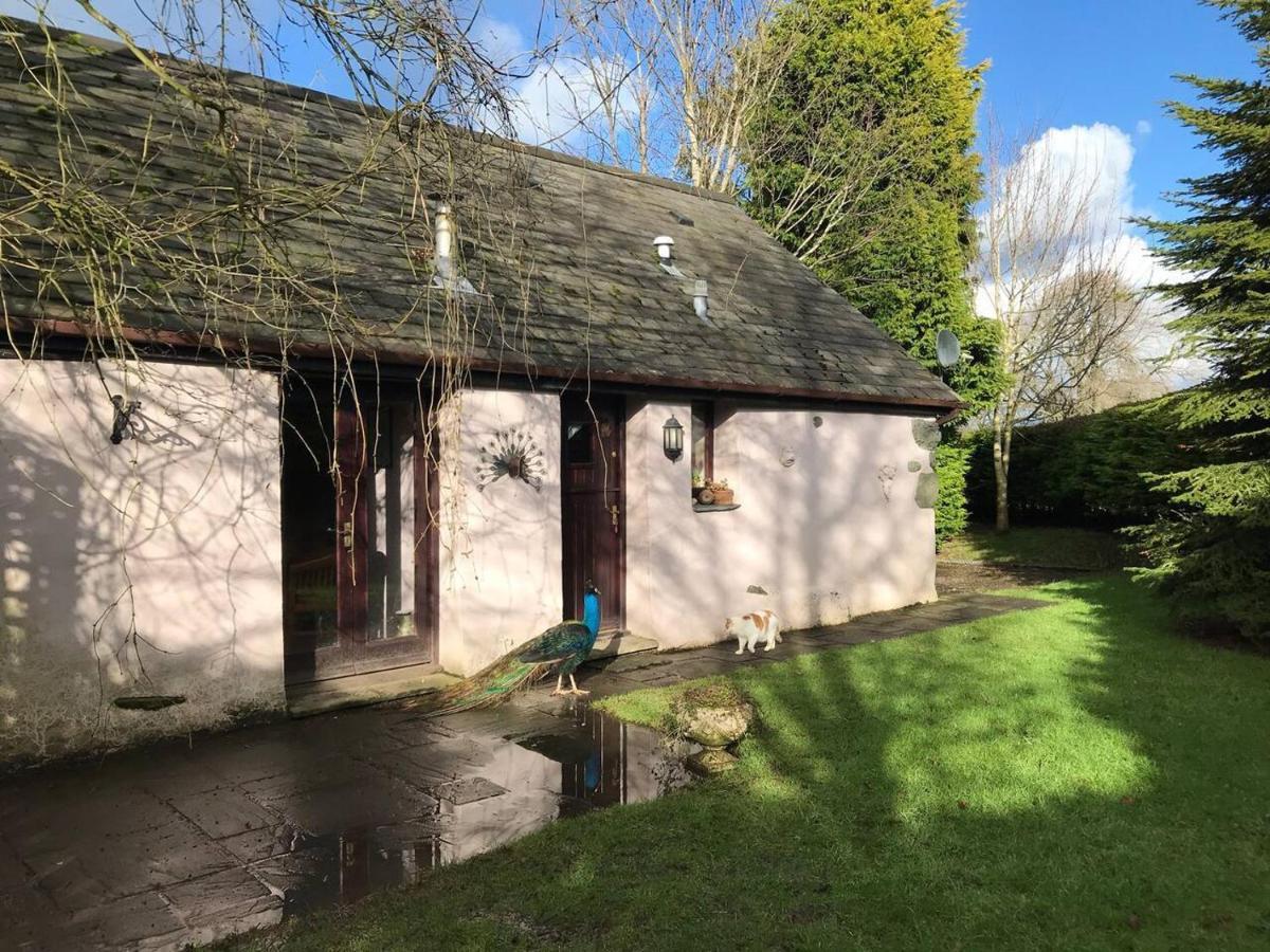Cosy Cottage For Ecotourism Lovers Near Corwen Exterior photo