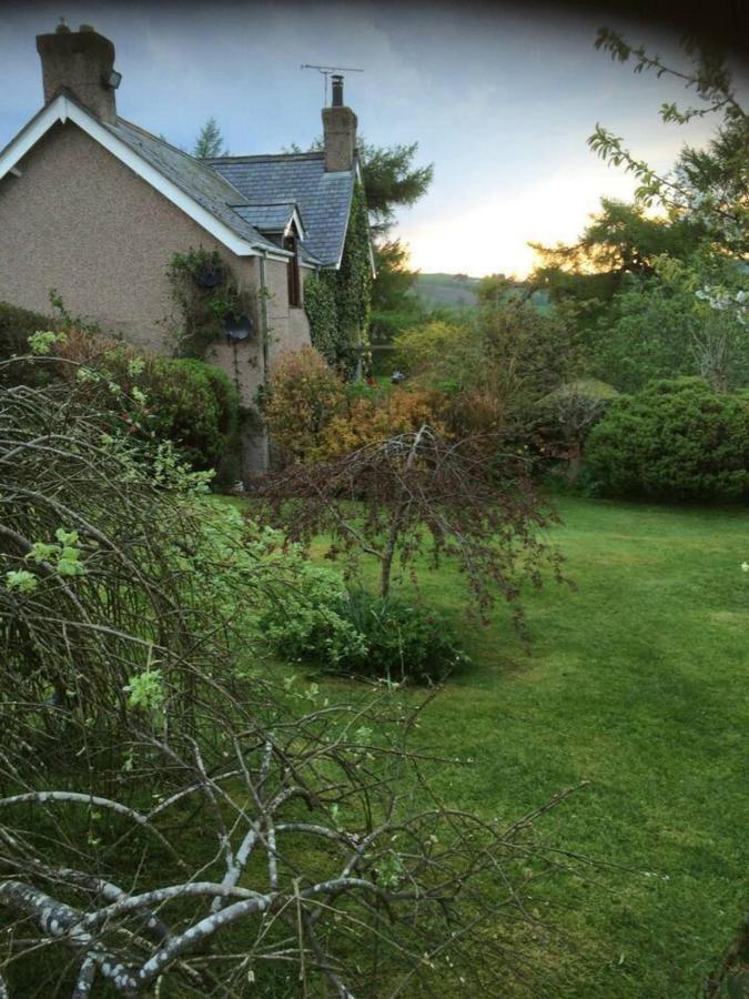 Cosy Cottage For Ecotourism Lovers Near Corwen Exterior photo