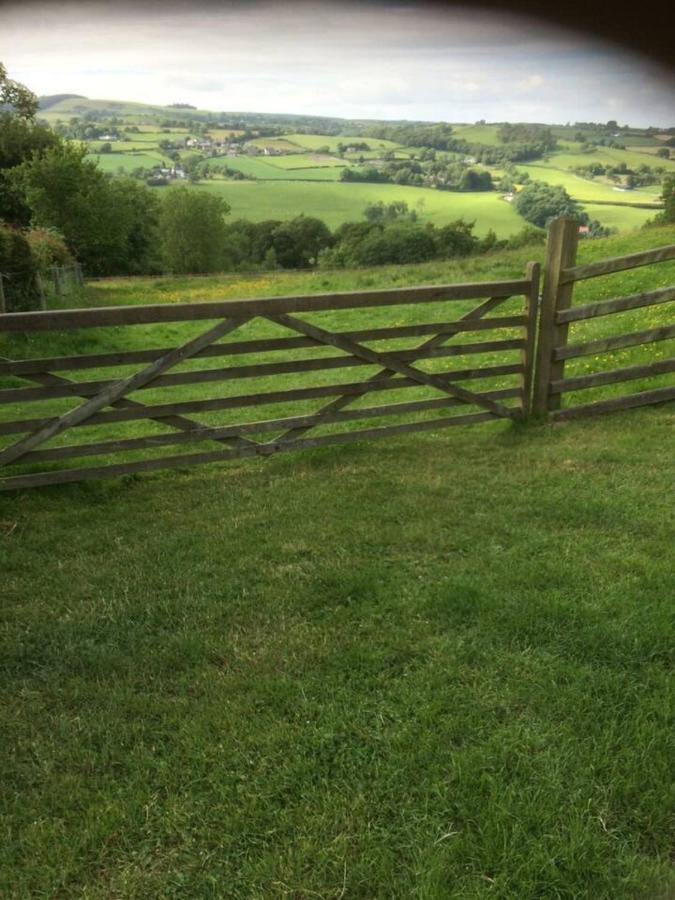 Cosy Cottage For Ecotourism Lovers Near Corwen Exterior photo